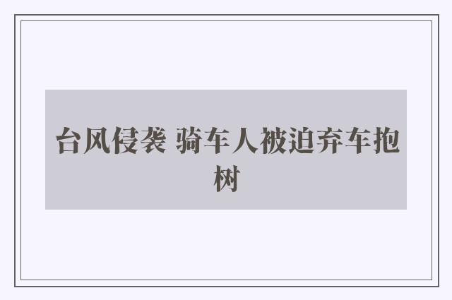 台风侵袭 骑车人被迫弃车抱树