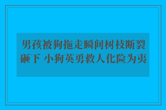 男孩被狗拖走瞬间树枝断裂砸下 小狗英勇救人化险为夷